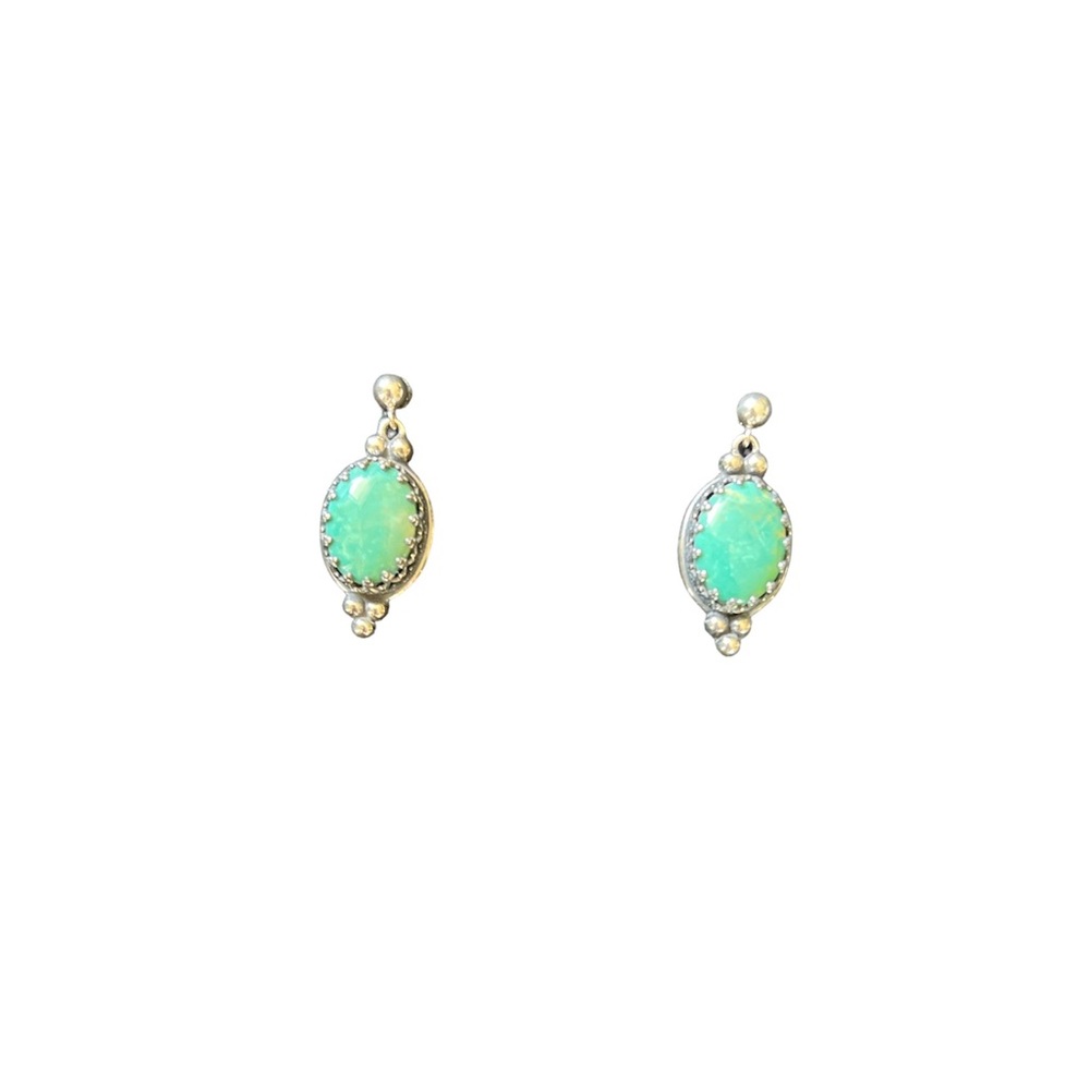 Carolyn Pollack Earrings